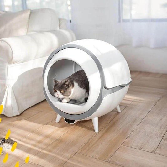 Der beste Standort für Ihren KatzenRobo