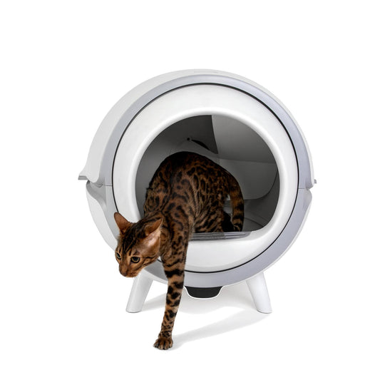 Den KatzenRobo sorgenfrei testen!
