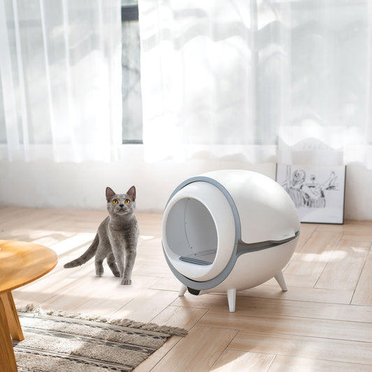 Ihre Katze Stubenrein bekommen - so funktioniert es!