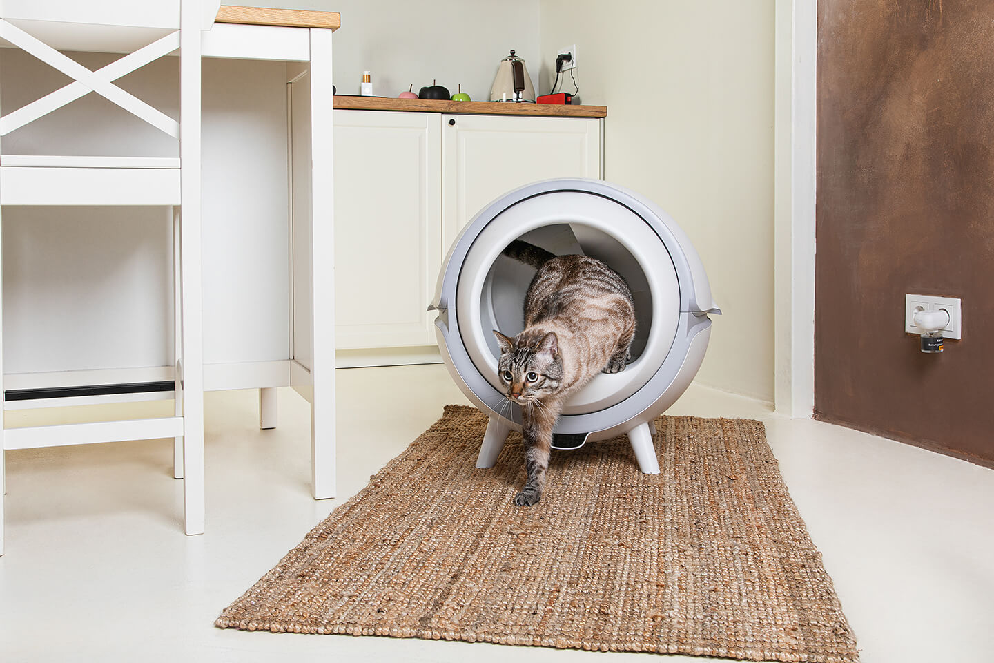 selbstreinigendes katzenklo