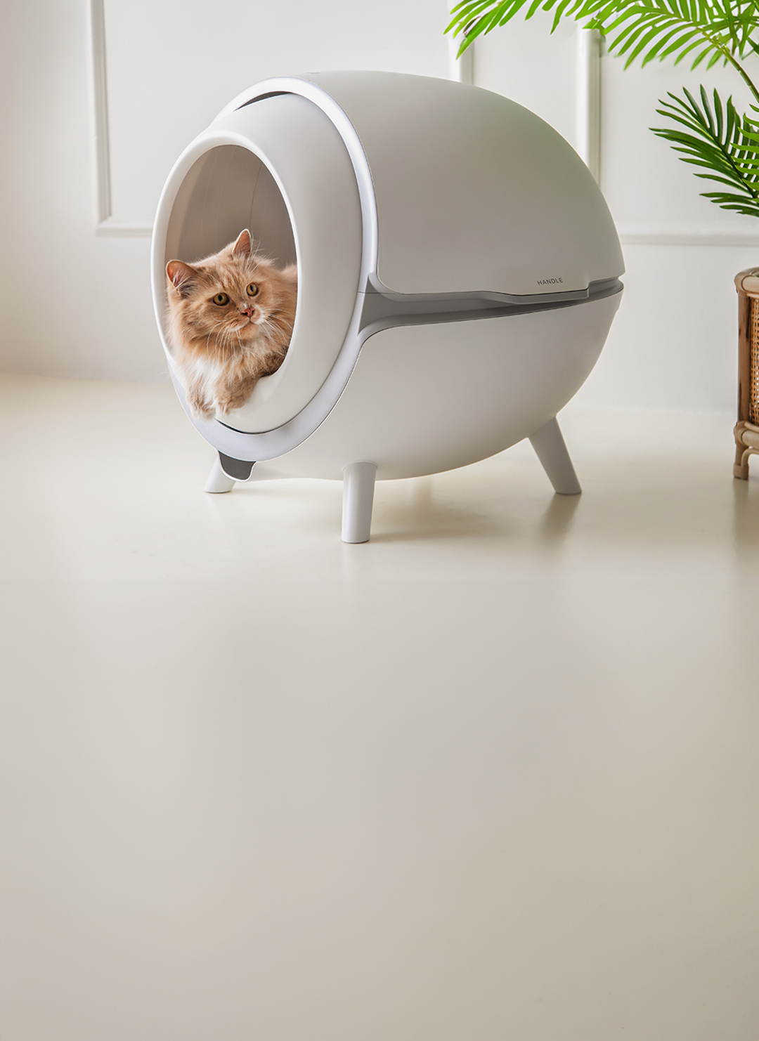 katzenrobo