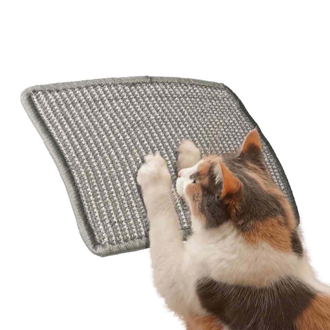 Selbstklebende Katzenmatte: Ultimative Pflege- & Kratzmatte