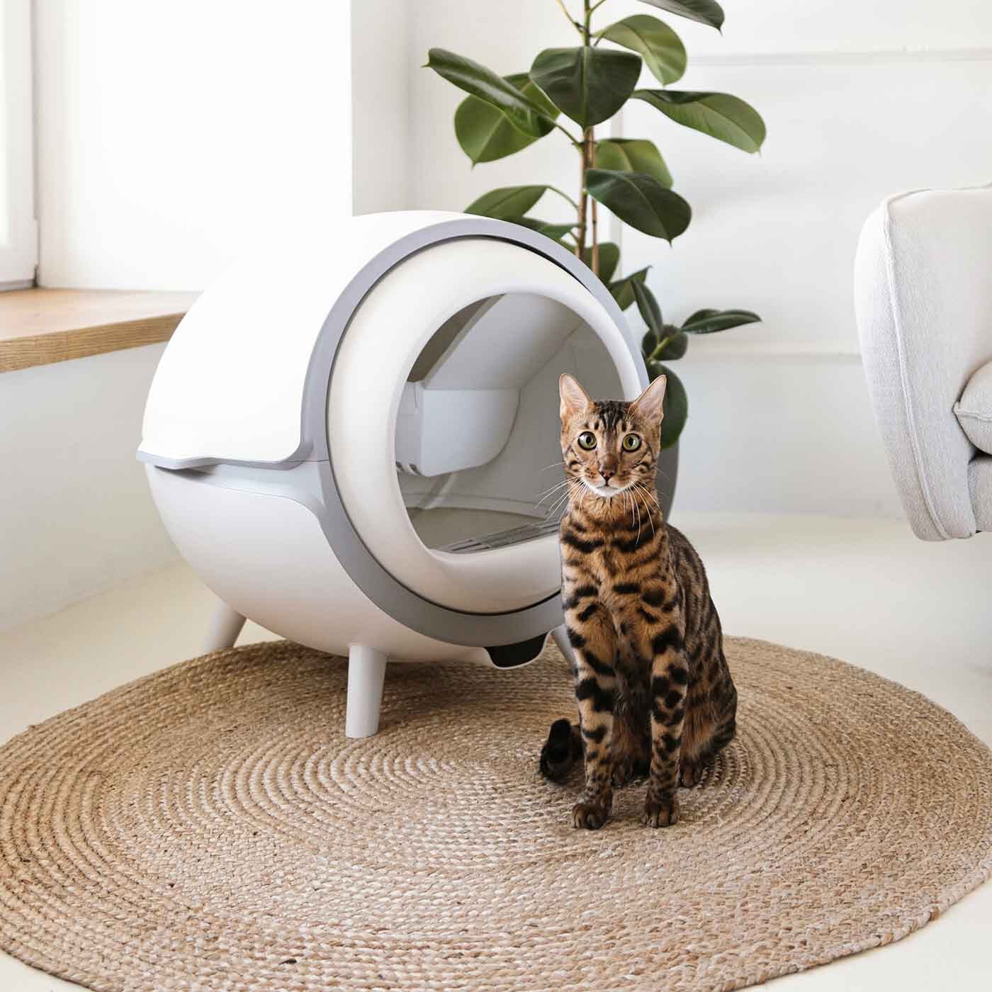 selbstreinigende katzentoilette katzenrobo