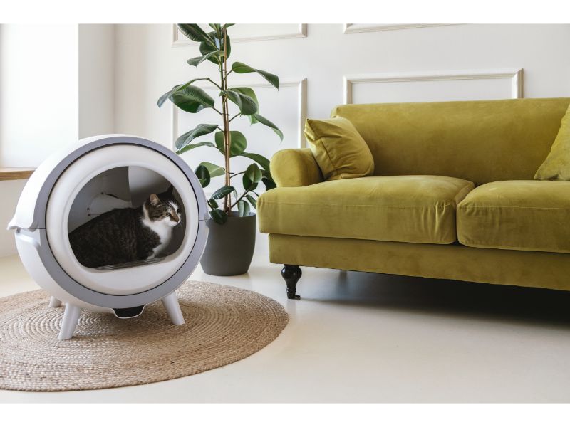 Erfahrungen mit dem selbstreinigenden Katzenklo: Der KatzenRobo